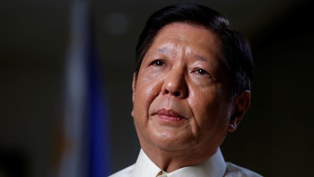 Philippines’ ‘Bongbong’ Marcos suspends implementation of sovereign wealth fund