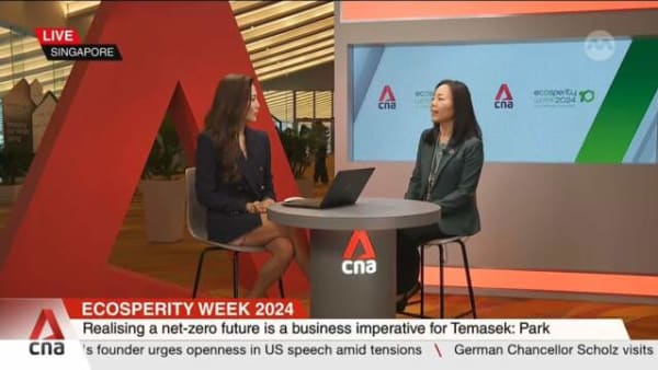 ESG is not a fad, it's a must do: Analyst - Vimarsana News