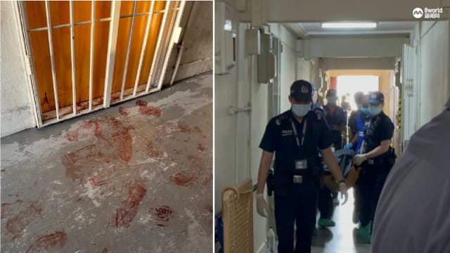 涉嫌在组屋单位内谋杀男室友 红山弄命案嫌犯今被控