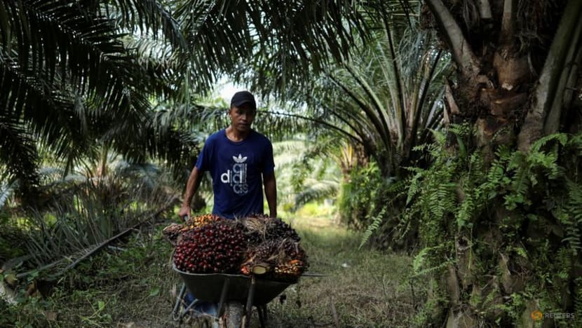 Malaysia keeps Oct crude palm oil export duty at 8%
