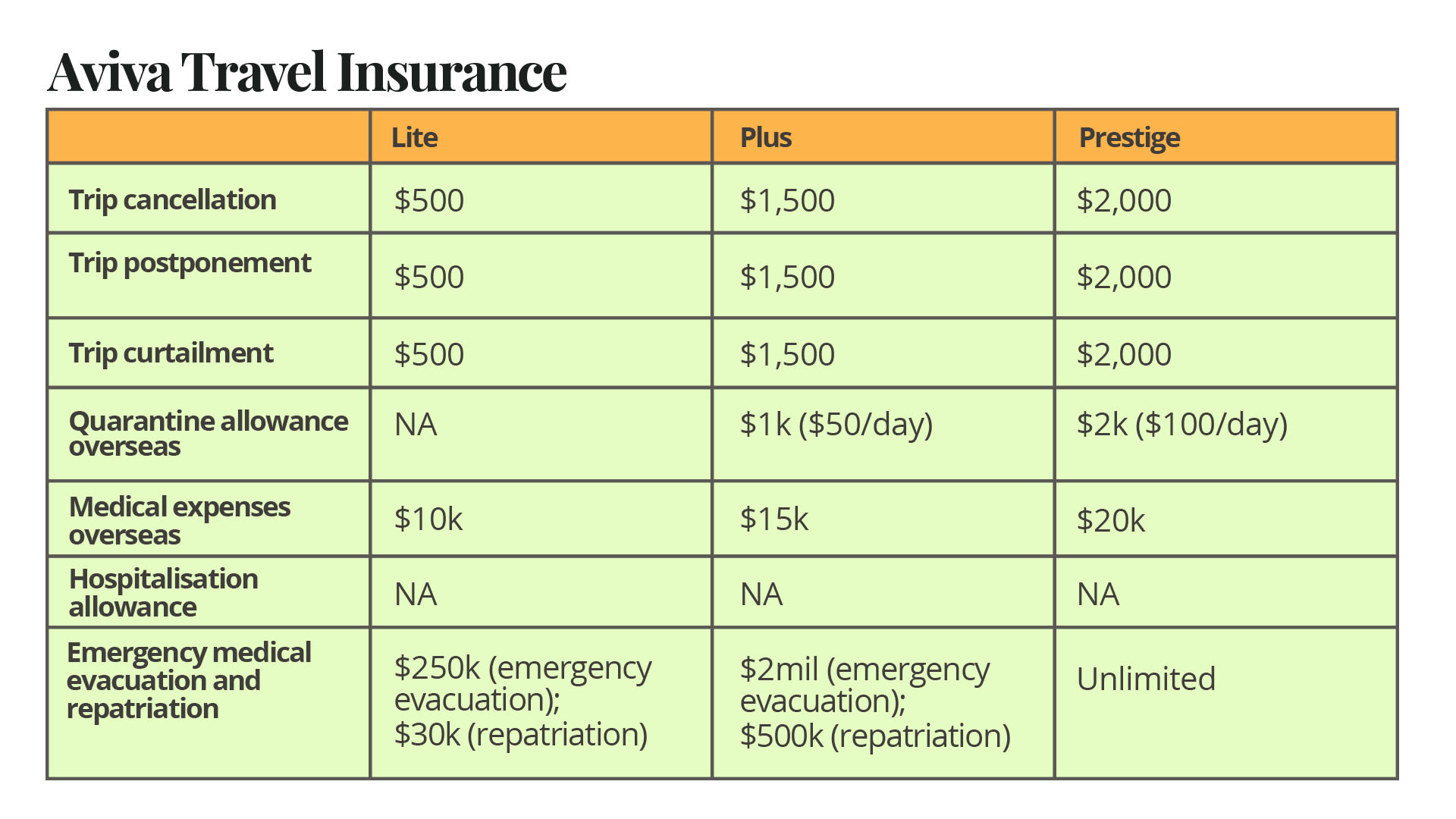 ntuc income travel insurance terms and conditions