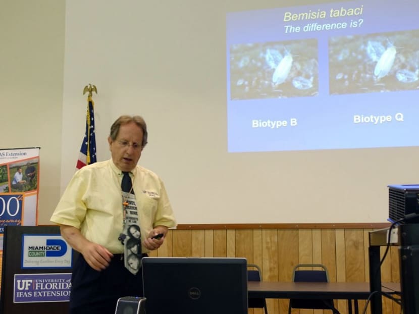 Dr. Lance Osborne, an entomologist with the University of Florida, gives a presentation on July 22, 2016 in Homestead, Florida to growers who are concerned about the pesticide-resistant whitefly biotype Q. Photo: AFP