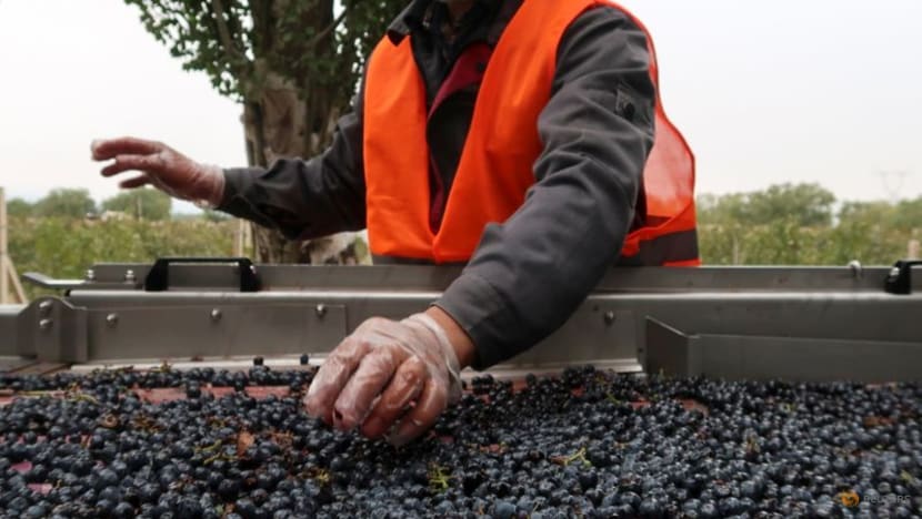 Red China: Up-and-coming wineries gain recognition