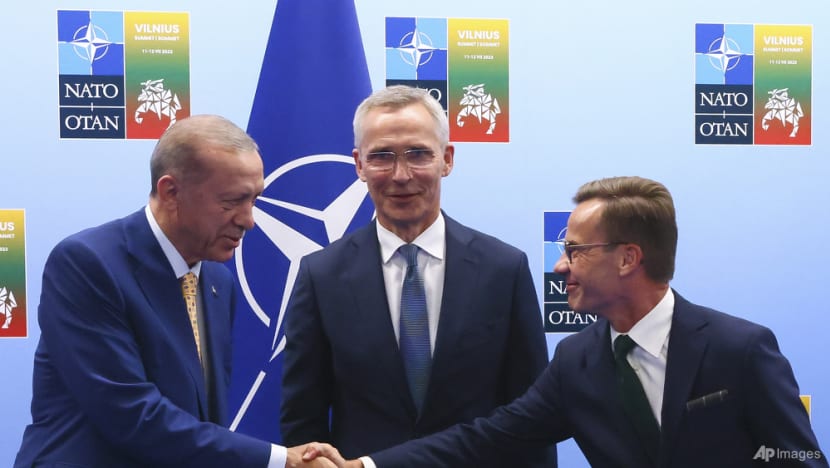 What does NATO stand to gain from Sweden becoming a member?