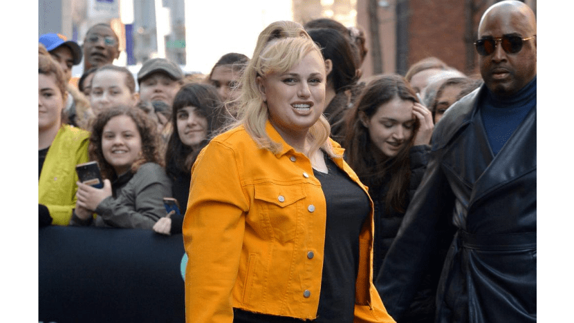 Rebel Wilson insisted on casting a gay actor for Isn't It Romantic