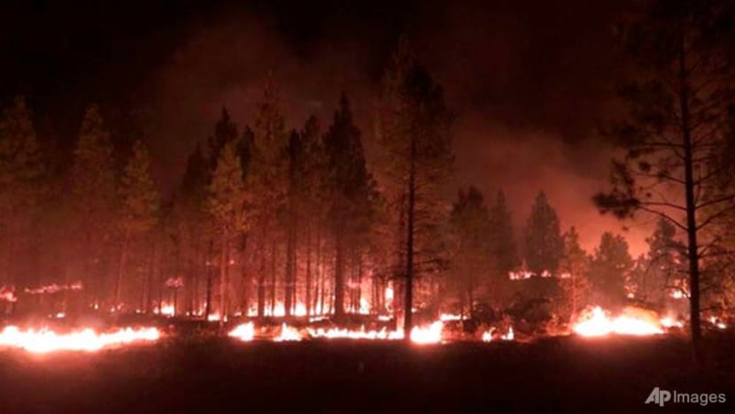 Erratic Oregon wildfire expands, destroys dozens of homes