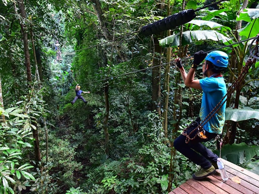 A tourist rides the Flight of the Gibbon zipline in Chiang Mai province.