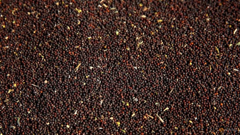 China lifts curbs on Canadian canola, demand seen muted China lifts curbs on Canadian canola, demand seen muted