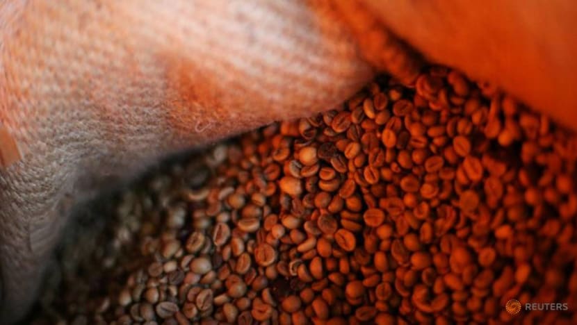 Little evidence coffee companies' sustainability efforts have impact: Report Little evidence coffee companies' sustainability efforts have impact: Report