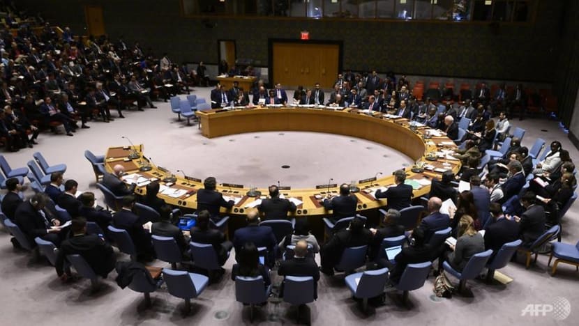 Estonia, Vietnam among five elected to UN Security Council Estonia, Vietnam among five elected to UN Security Council