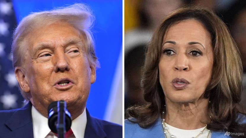 election 2024 debates 30203