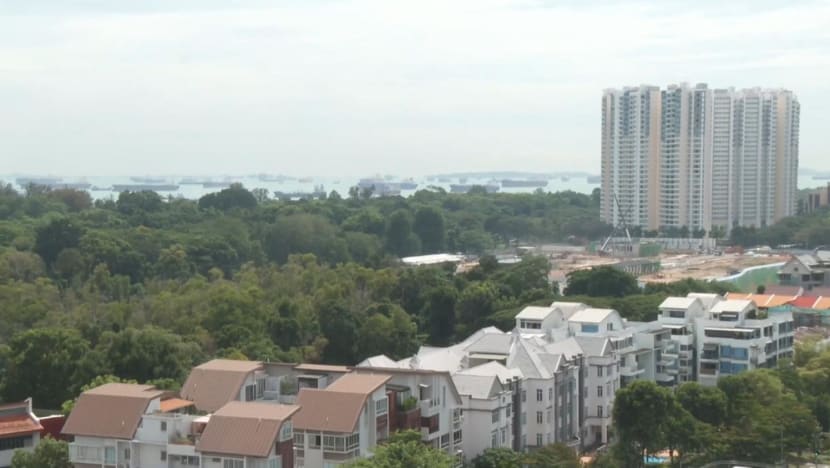 Forest clearing for Bayshore project: Nature experts call for green spaces to be prioritised in urban planning Forest clearing for Bayshore project: Nature experts call for green spaces to be prioritised in urban planning