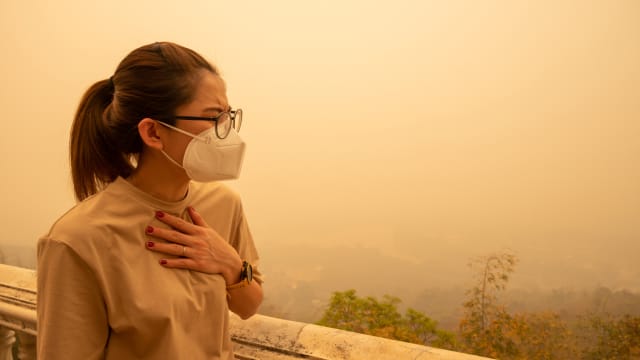 烟霾来袭影响空气品质 马国柔州红眼症气喘病增加