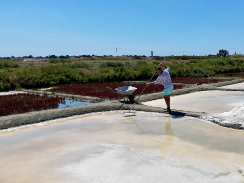 The unwitting winners of France's drought: salt farmers The unwitting winners of France's drought: salt farmers