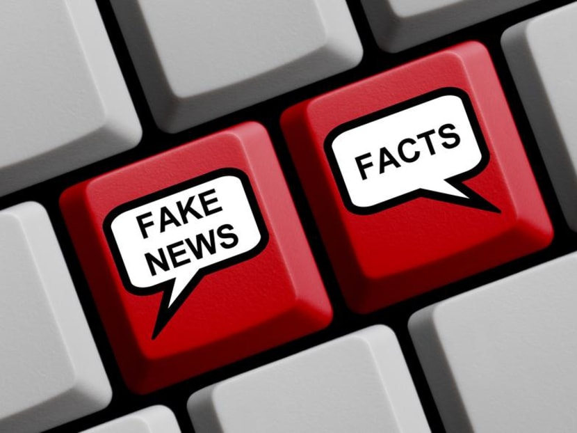 Communications and Information Minister S Iswaran told Parliament that the laws countering online falsehoods were not being directed only at certain types of people or organisations. Communications and Information Minister S Iswaran told Parliament that the laws countering online falsehoods were not being directed only at certain types of people or organisations.