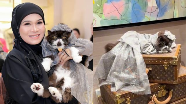 Malaysian businesswoman celebrates her cat’s birthday at Louis Vuitton store