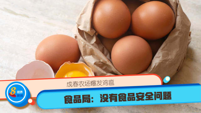 成春农场爆发鸡瘟 食品局：没有食品安全问题