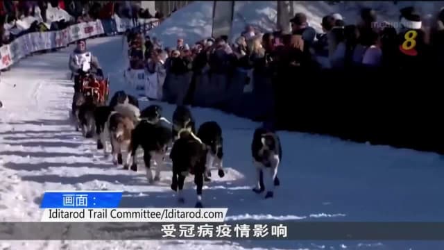 美国阿拉斯加年度雪橇大赛拉开帷幕