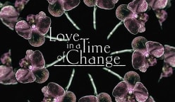 Love in A Time of Change