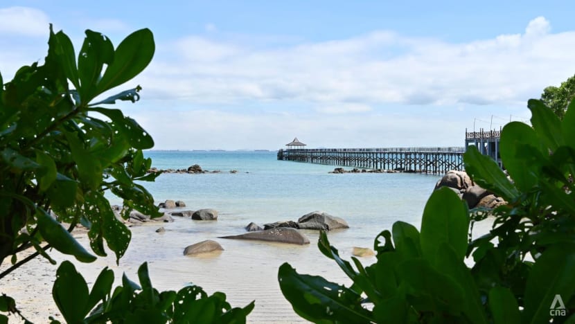 Going to Batam from Singapore? Here are some tips for a smooth, quarantine-free trip