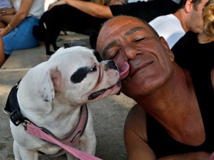 An Israeli man poses for a picture with his dog in the park during "The city-wide dog day" in Tel Aviv, which was timed to coincide with Dog Day celebrations worldwide on August 26, 2016. Photo: AFP