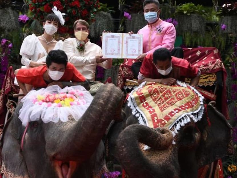 Couples in Thailand tie the knot on elephants on Valentine's Day Couples in Thailand tie the knot on elephants on Valentine's Day
