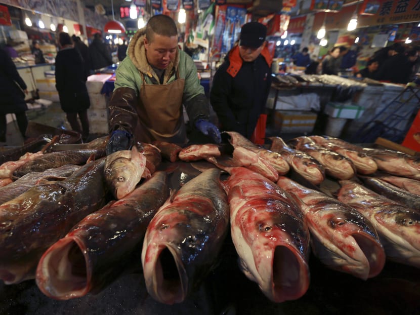 People Around The World Are Eating More Fish: UN Report - TODAY