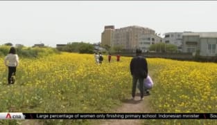South Korea's Jeju Island looks to enforce tougher investment regulations for foreigners | Video