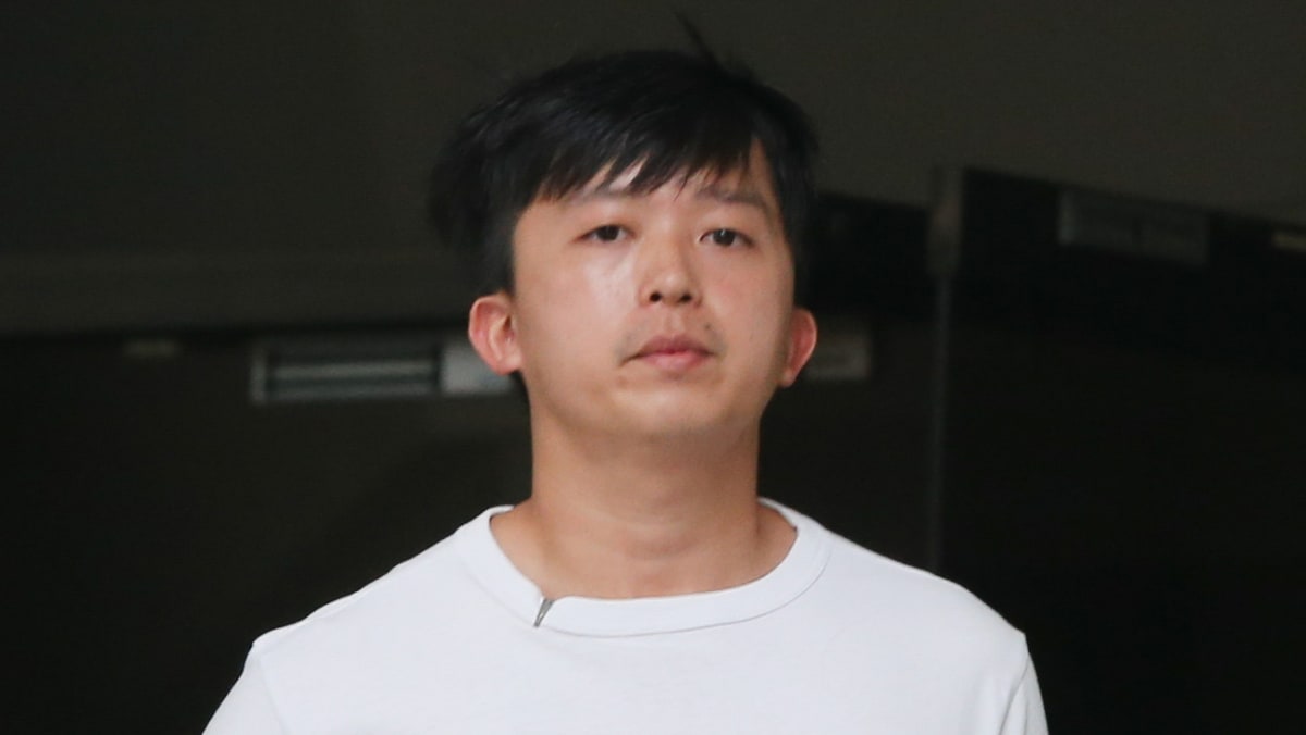 Man, 26, pleads guilty to amassing obscene videos of women using toilets at Starbucks in Holland Village, polytechnic