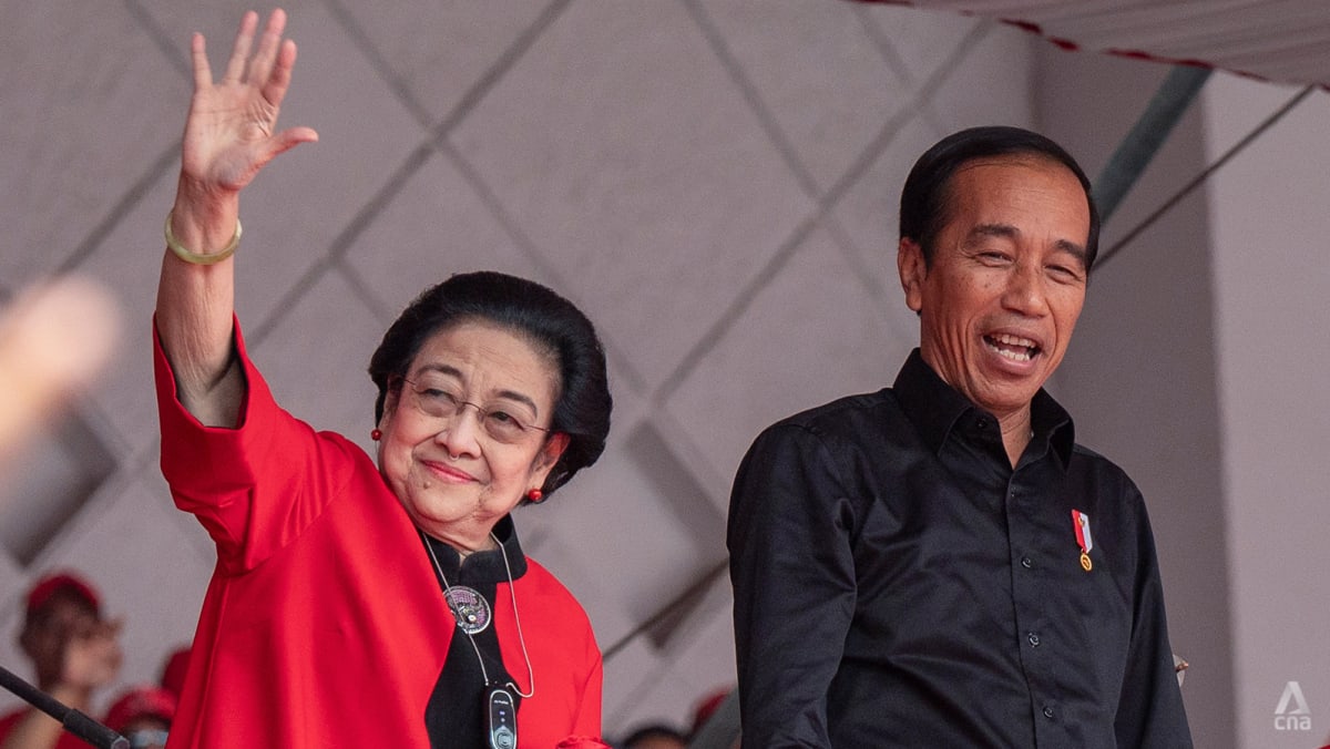 Jokowi and Gibran no longer members of PDI-P after supporting Prabowo: party official