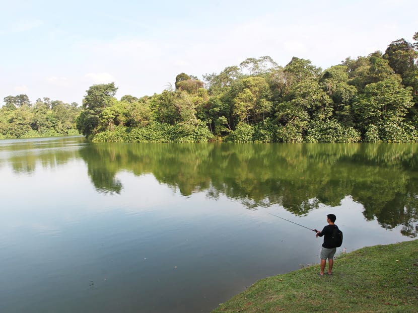 A man fishes in the Upper Seletar Reservoir along Mandai Road. The forested areas in Mandai can be seen on the opposite side. Prime Minister Lee Hsien Loong announced plans to develop the Mandai area on Sept 4 2014. TODAY file photo