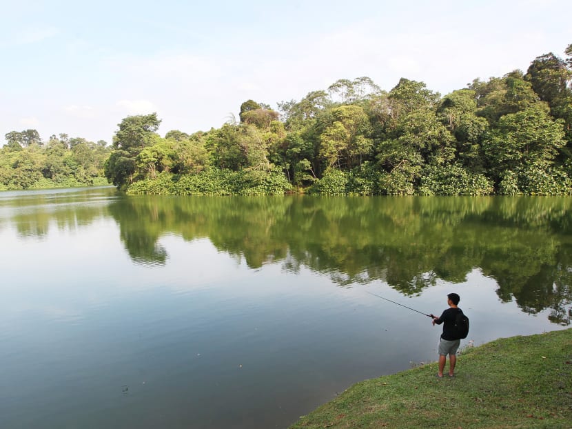A man fishes in the Upper Seletar Reservoir along Mandai Road. The forested areas in Mandai can be seen on the opposite side. Prime Minister Lee Hsien Loong announced plans to develop the Mandai area on Sept 4 2014. TODAY file photo A man fishes in the Upper Seletar Reservoir along Mandai Road. The forested areas in Mandai can be seen on the opposite side. Prime Minister Lee Hsien Loong announced plans to develop the Mandai area on Sept 4 2014. TODAY file photo