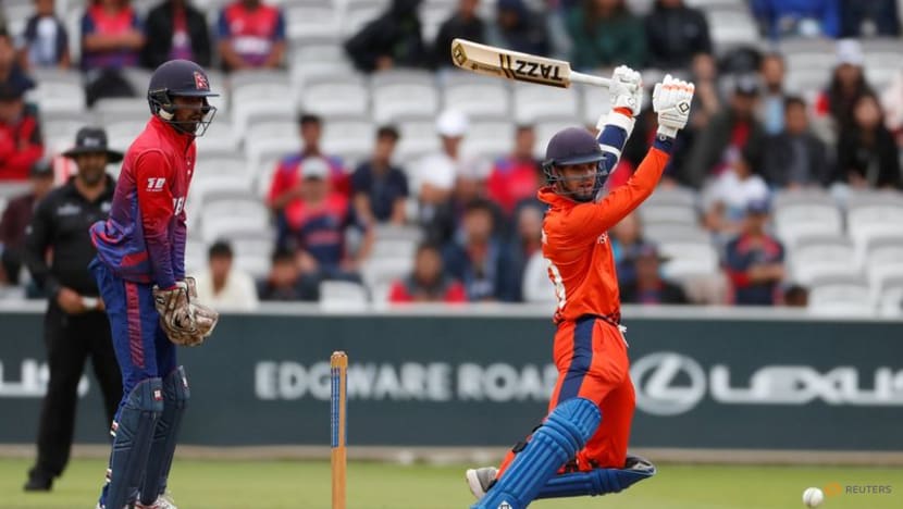 New Zealand call up former Dutch all-rounder Rippon for European tour New Zealand call up former Dutch all-rounder Rippon for European tour