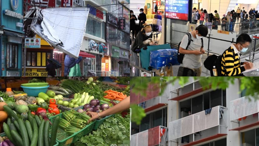 Daily round-up, Sep 6: Typhoon Hinnamnor kills one in South Korea; Taiwan removes Singapore, Malaysia from visa-free country list