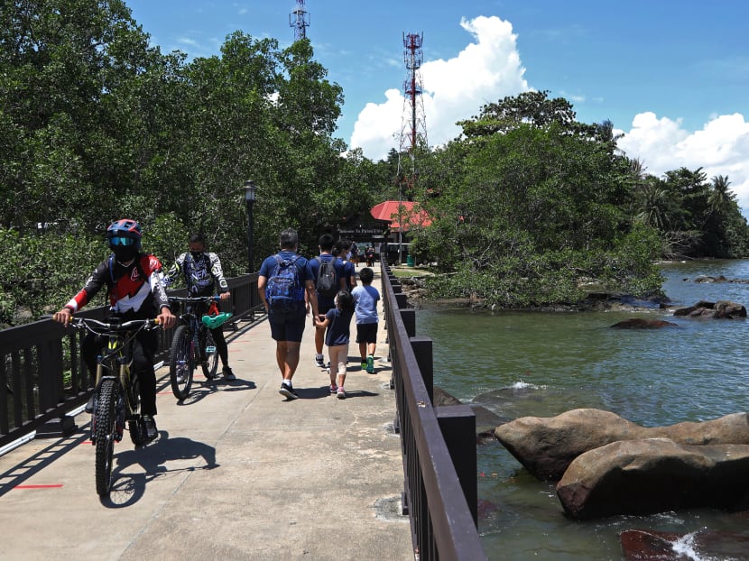 As a community group tries to raise awareness of Pulau Ubin, residents have mixed feelings about visitors