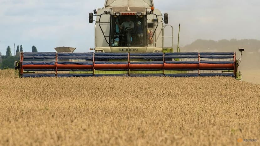 UN expects 'big uptick' in ships wanting to export Ukraine grain UN expects 'big uptick' in ships wanting to export Ukraine grain
