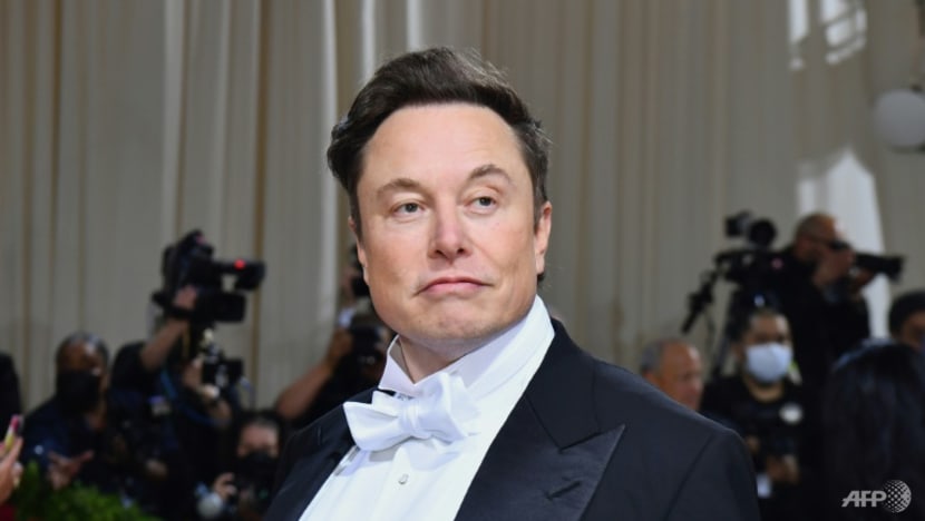Elon Musk in Brazil to launch plan to survey and connect Amazon Elon Musk in Brazil to launch plan to survey and connect Amazon