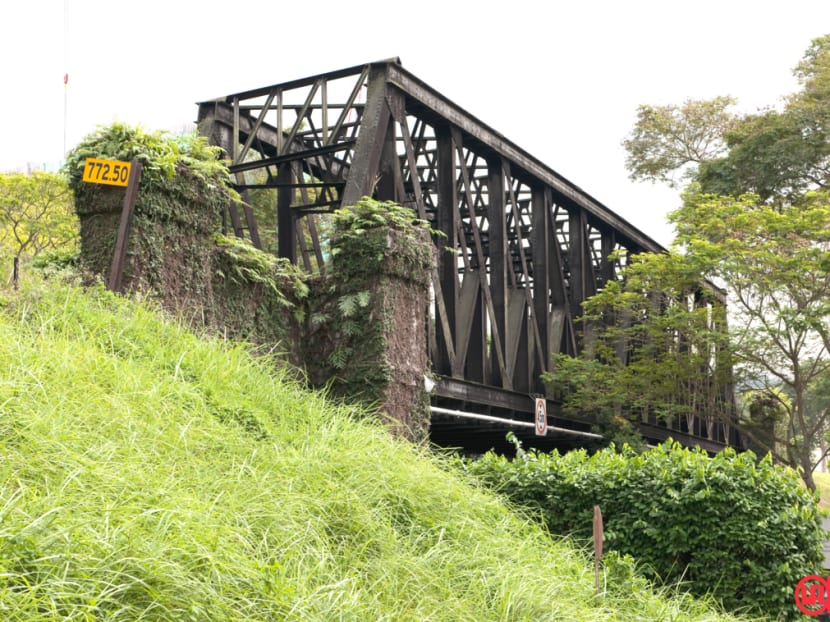 Iconic steel bridges along Rail Corridor up for conservation