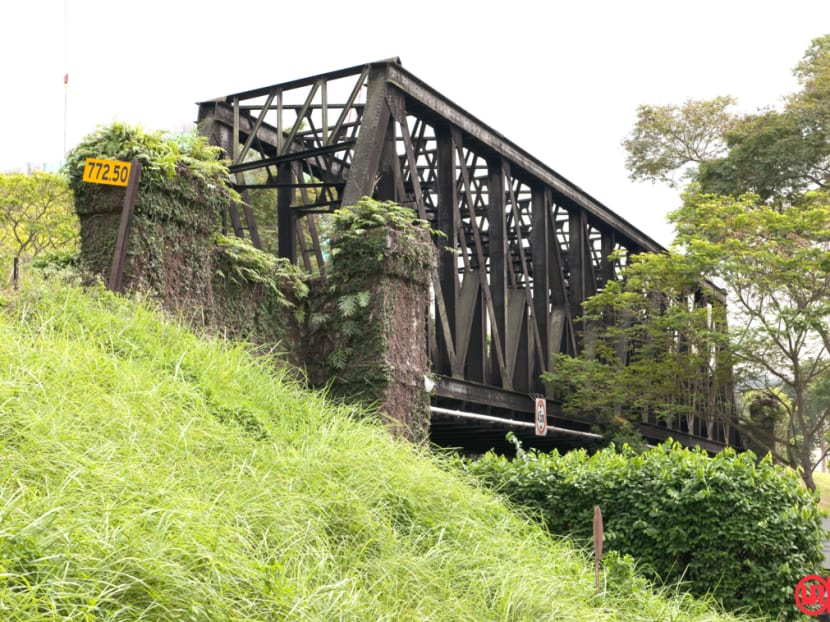 Iconic steel bridges along Rail Corridor up for conservation Iconic steel bridges along Rail Corridor up for conservation