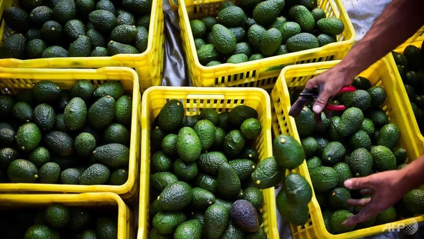 Are avocados toast? What shutting the US-Mexico border would mean Are avocados toast? What shutting the US-Mexico border would mean