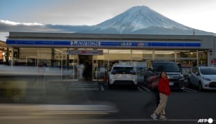 Japan town to put up 2.5m barrier to block view of Mount Fuji
