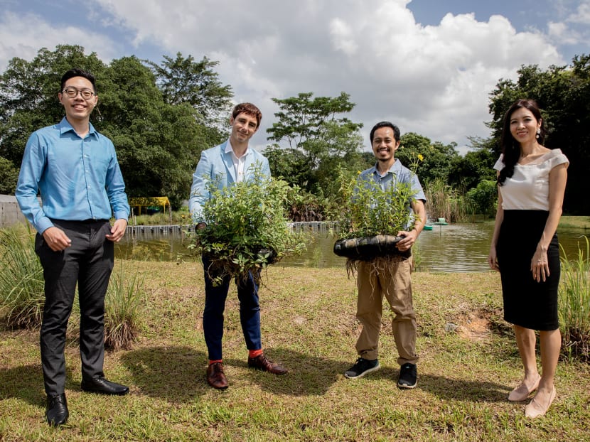 From left: NUS environmental engineering student Ong Kok Chung, Dr Richard Betts, Mr Ibnur Rashad and Ms Isabelle Lim at Kampung Kampus on Jan 13, 2022.