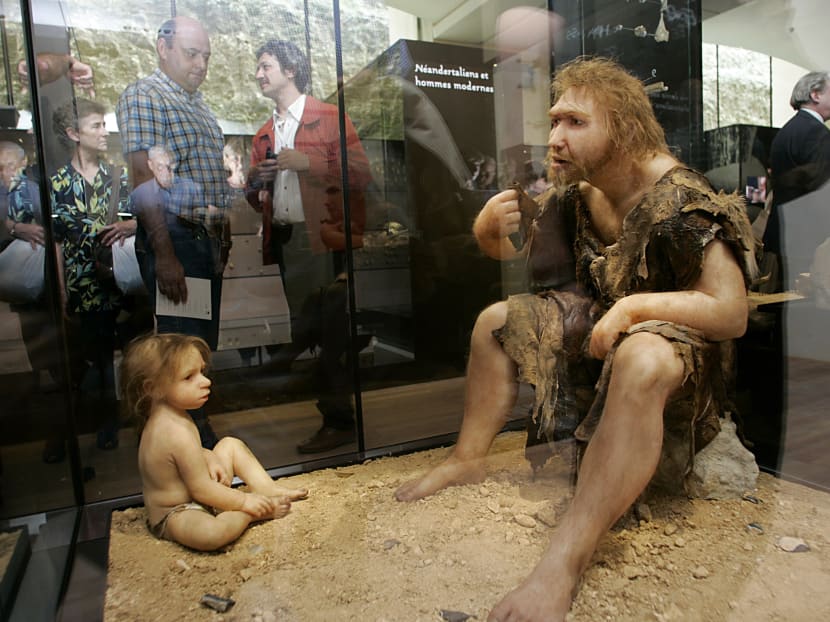 A picture taken July 19, 2004 shows visitors of the Museum for Prehistory in Eyzies-de-Tayac looking an exhibit featuring a reconstruction of a Neanderthal man. Photo: AFP