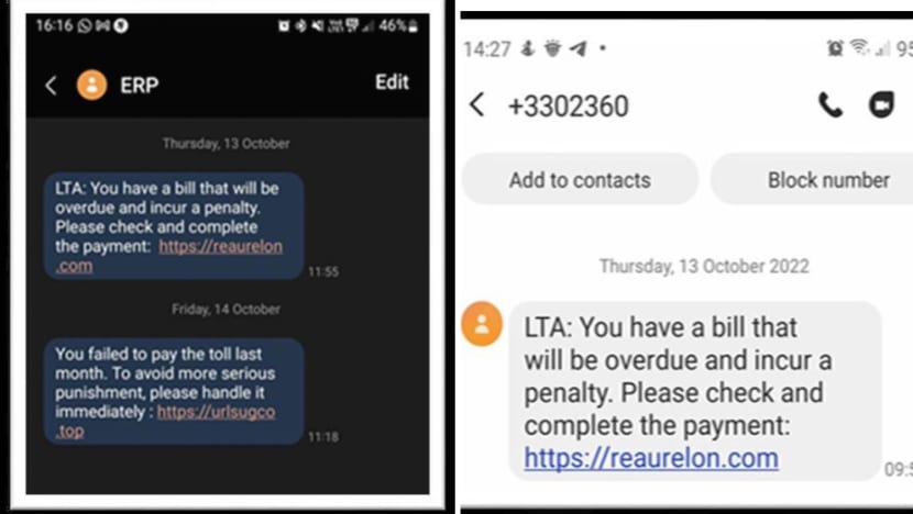 ERP tolls phishing scams: About S$22,000 lost in less than a week
