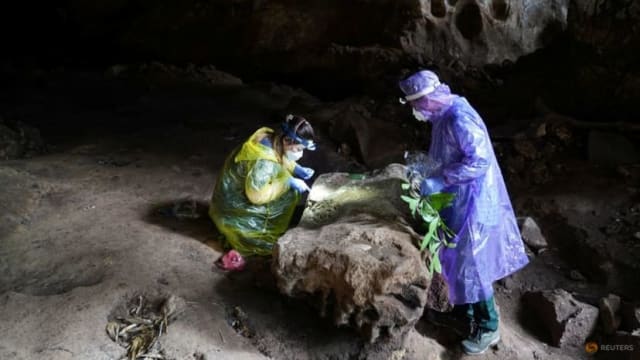 疫情暴发前21个月 武汉科学家计划在蝙蝠洞释放增强型冠状病毒