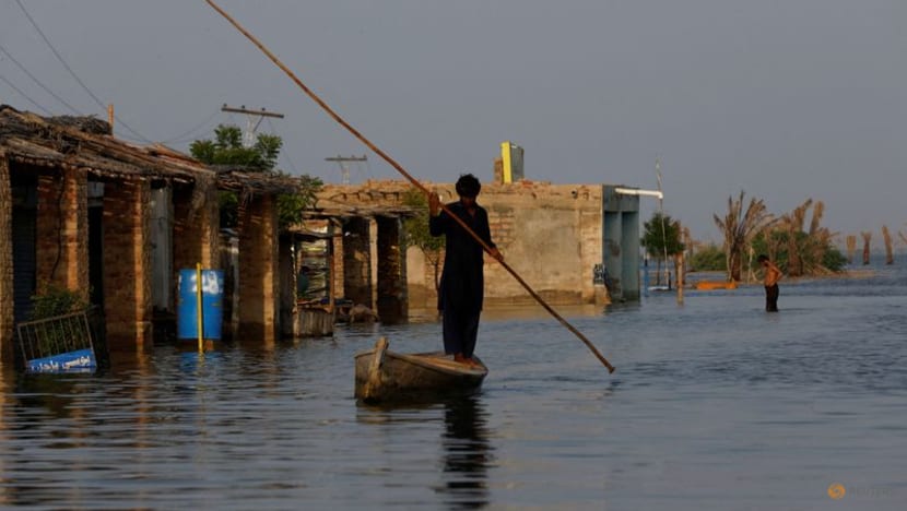 UN chief calls for 'massive' help as Pakistan puts flood losses at US$30 billion UN chief calls for 'massive' help as Pakistan puts flood losses at US$30 billion