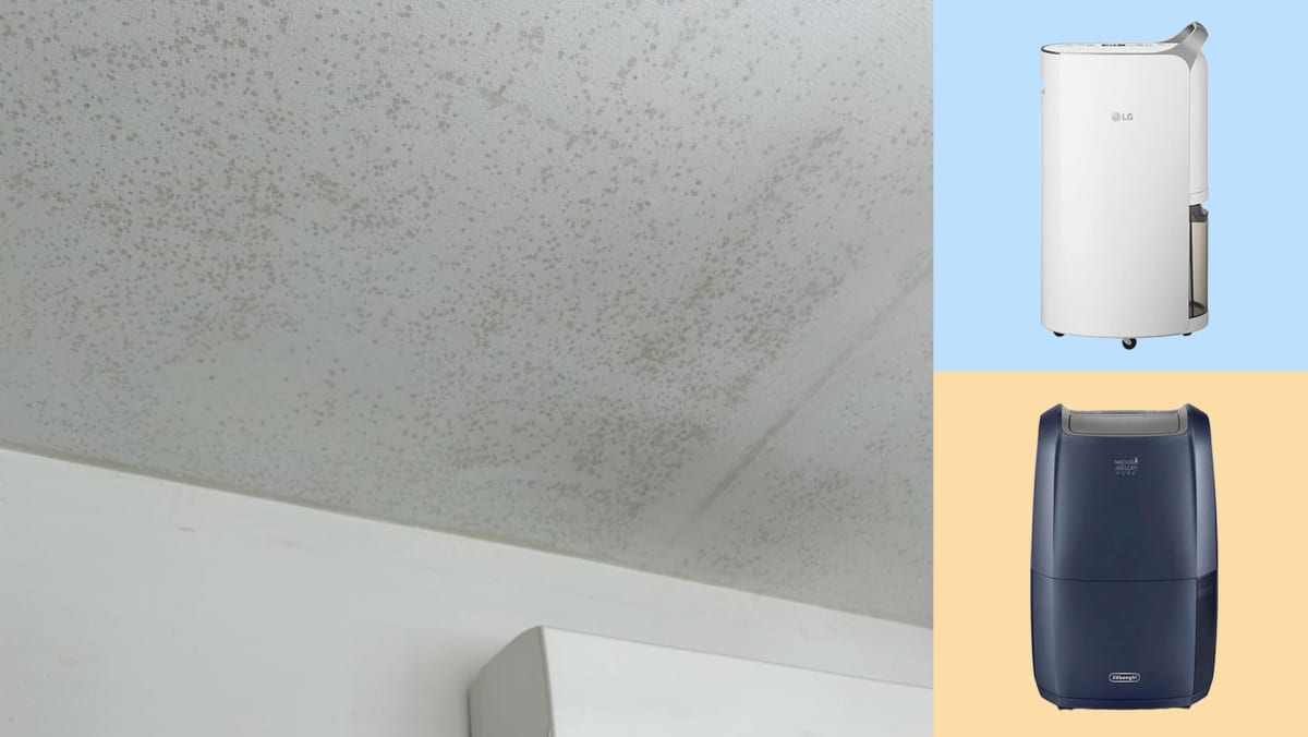 Best Dehumidifiers To Buy To Prevent Mould Growth At Home — So You Don