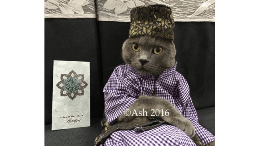 Kucing mana paling bergaya dengan baju kurung/baju Melayu tahun ini? Ini dia…