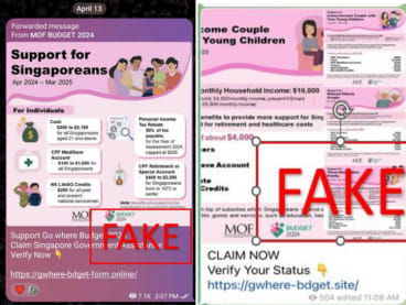 Screenshots of fraudulent infographics sent via messaging app Telegram.