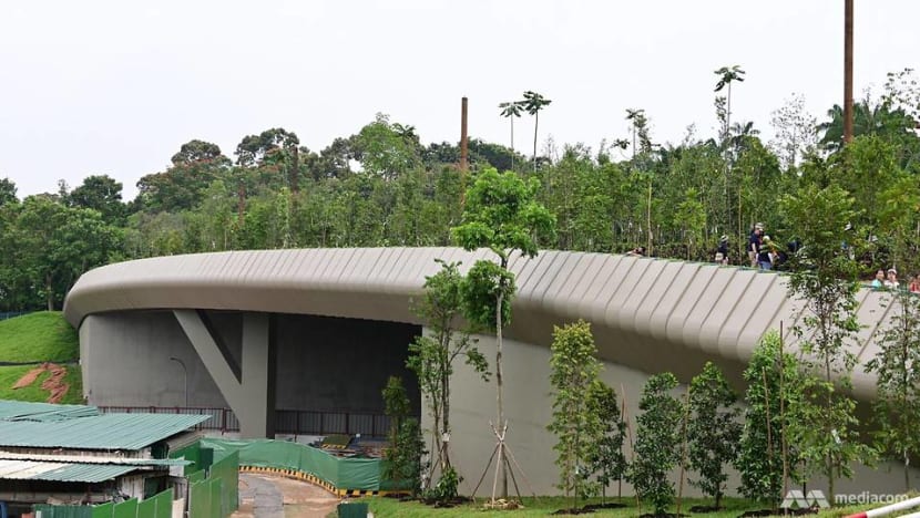 Safer animal crossings with new Mandai Wildlife Bridge Safer animal crossings with new Mandai Wildlife Bridge